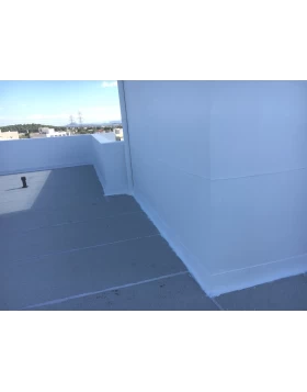 Waterproofing of Roofs and Walls