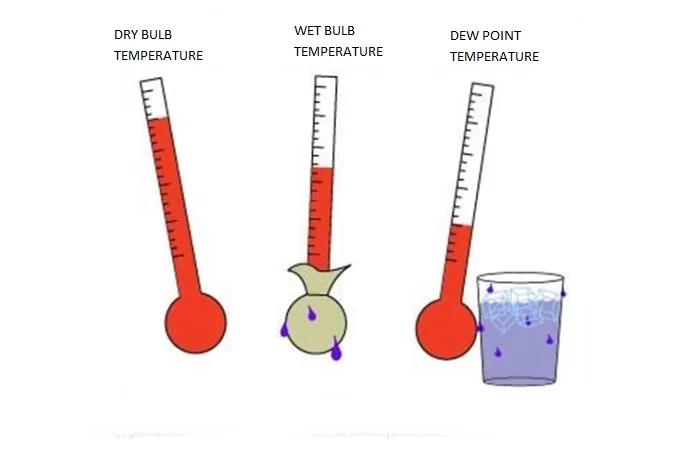 DEW POINT