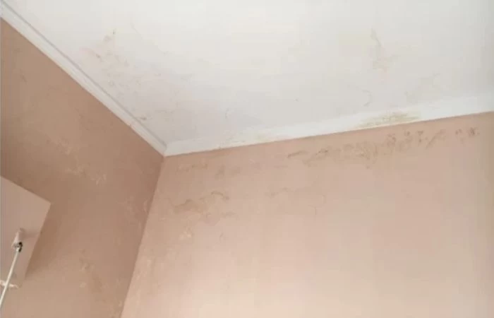 MARKS ON THE CEILING? MOISTURE OR LACK OF INSULATION?